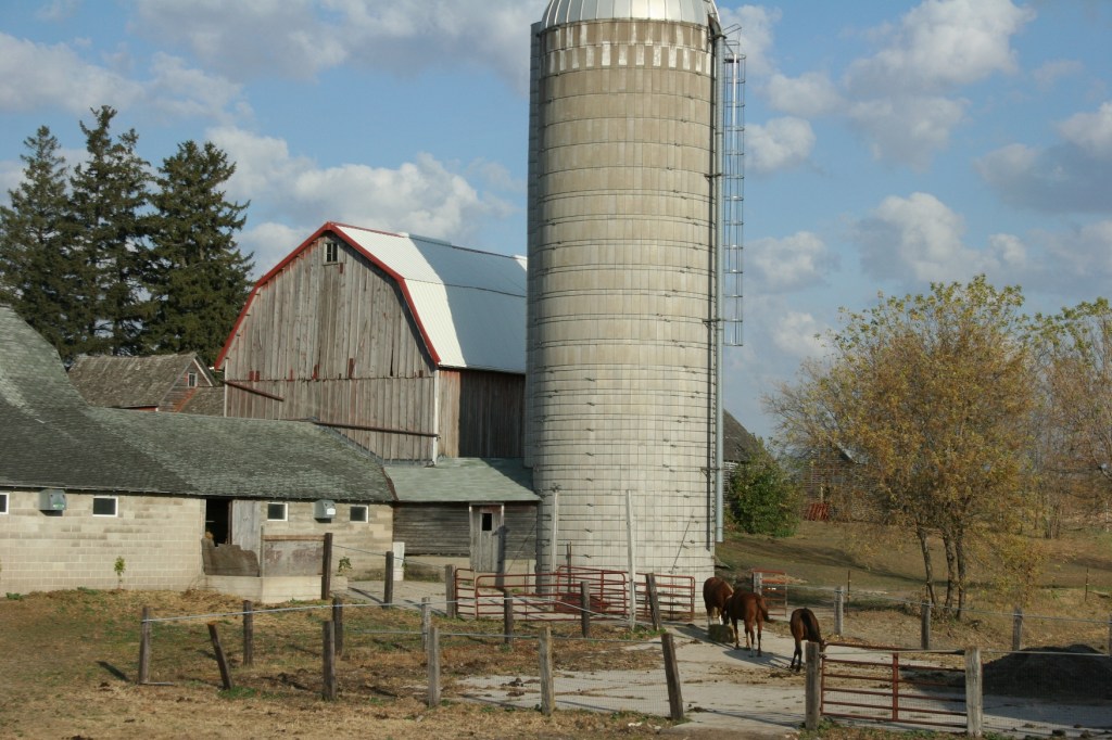 Drive, building site