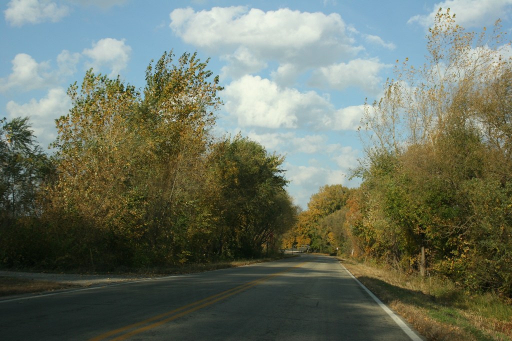 Drive, Cannon Lake road