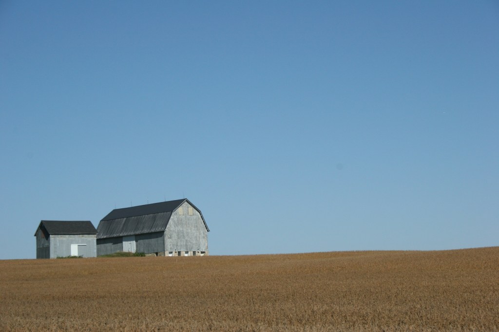 Drive, gray barn