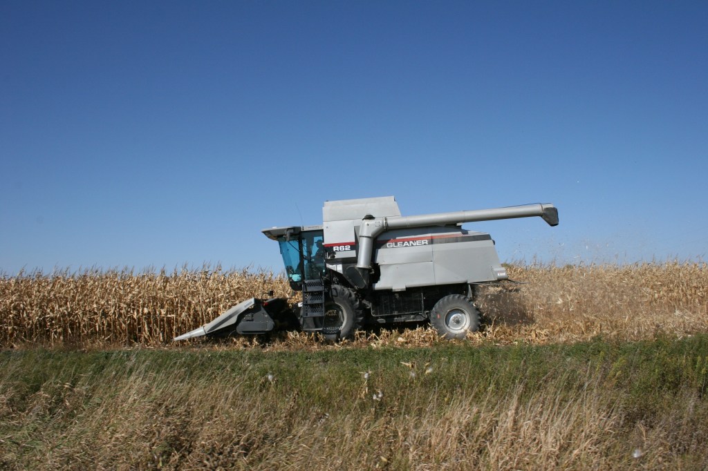 Drive, picking corn