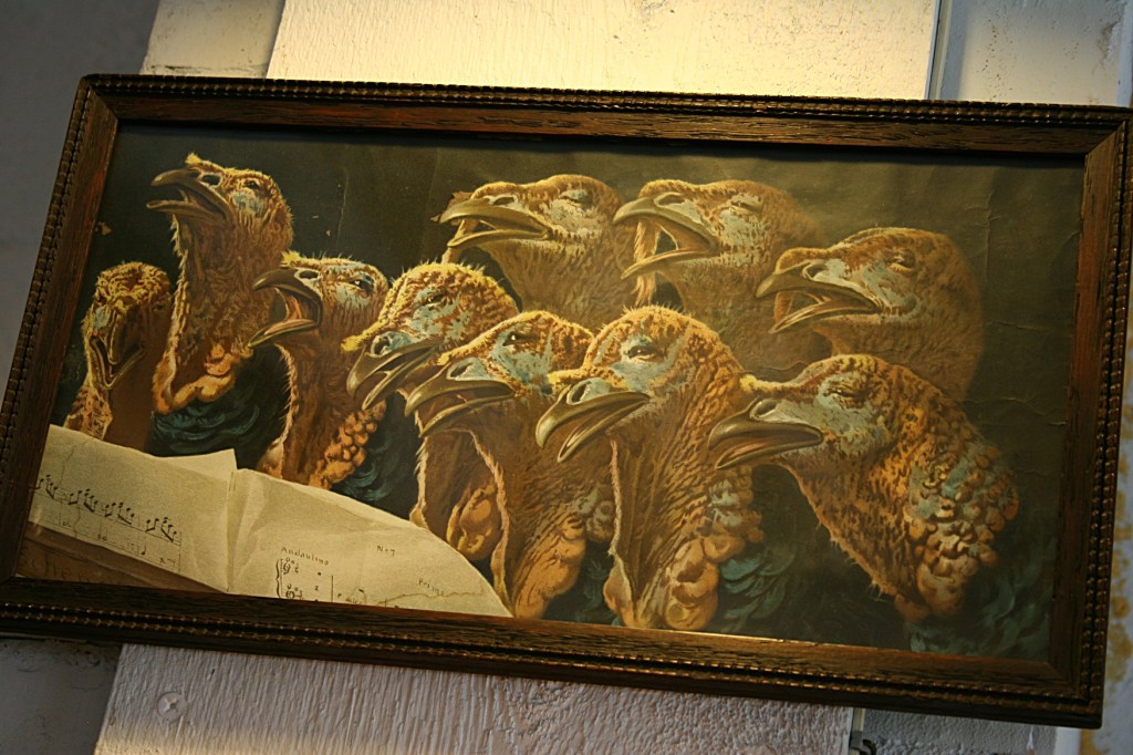 Antique, turkey print