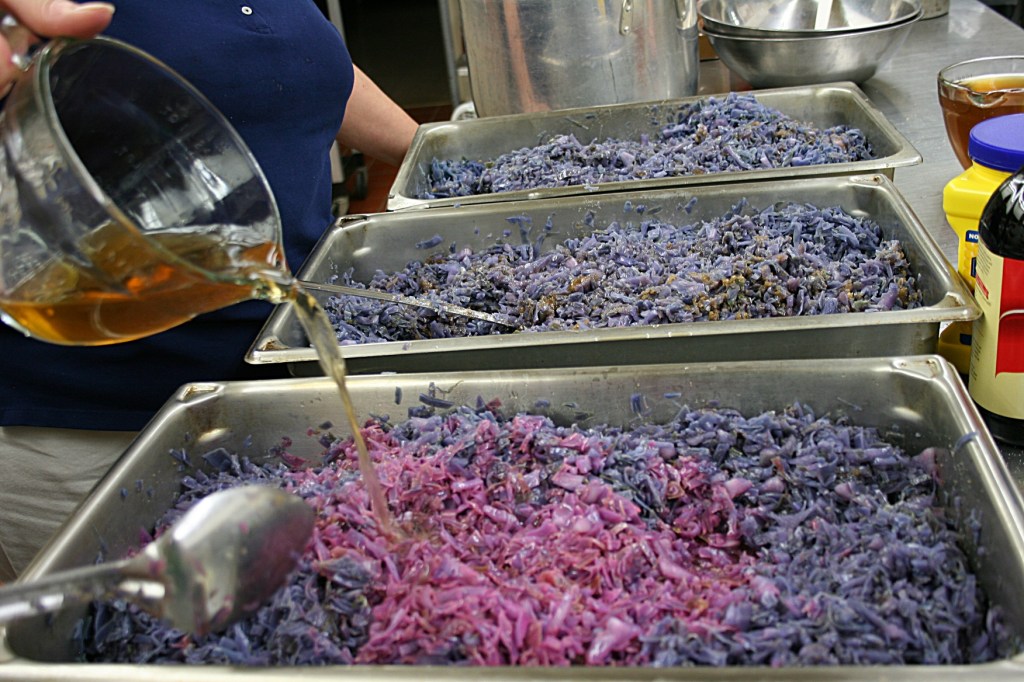 German dinner, cabbage