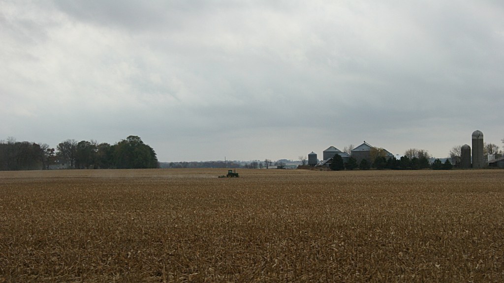 Rural, tractor in cornfield