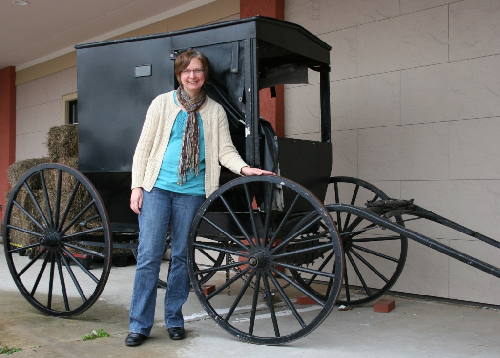 Tomah, Amish buggy