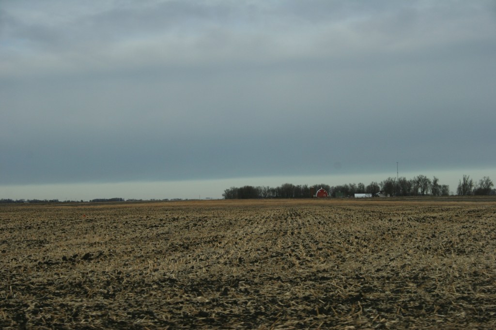 Red, stalks and red barn