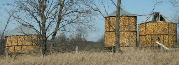 Drive, corn cribs