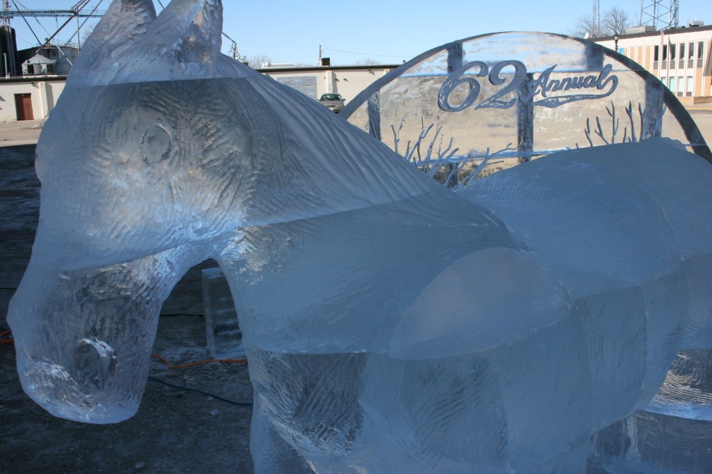Ice, horse close-up