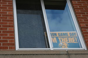 NDSU, bison in window
