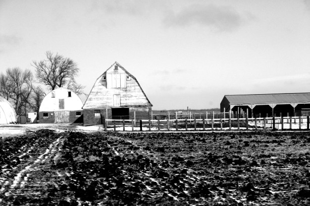 Drive, barn two