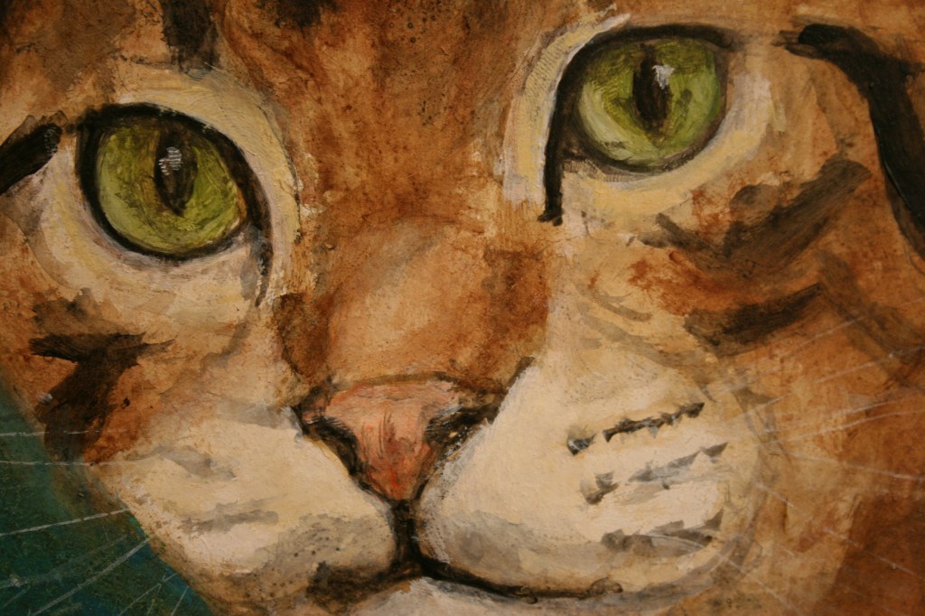 Fakler, cat face close-up