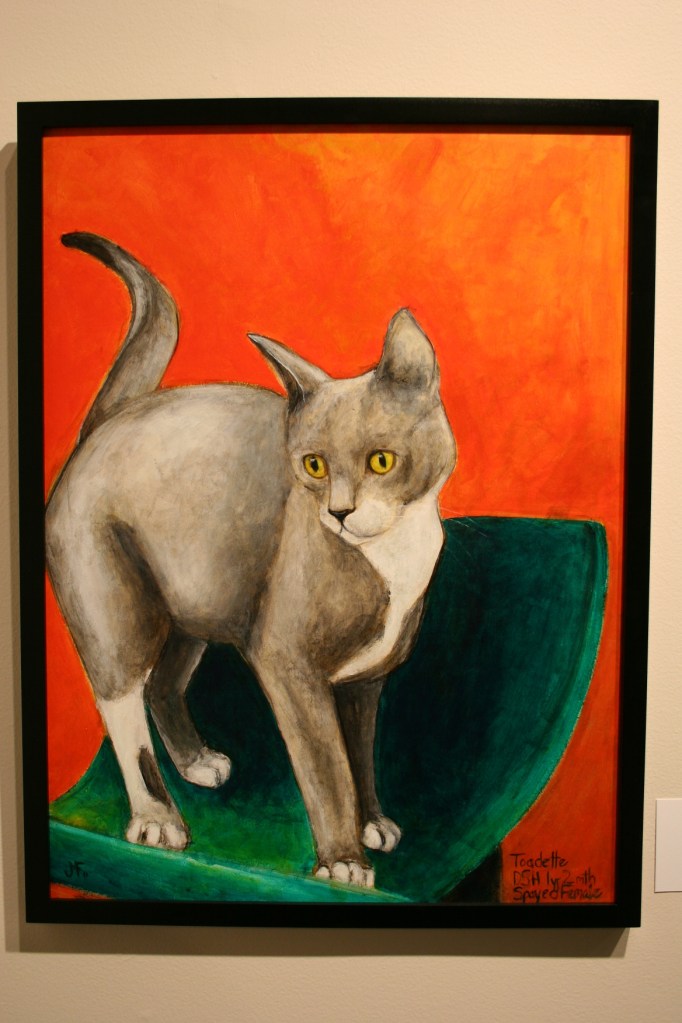 Fakler, gray cat