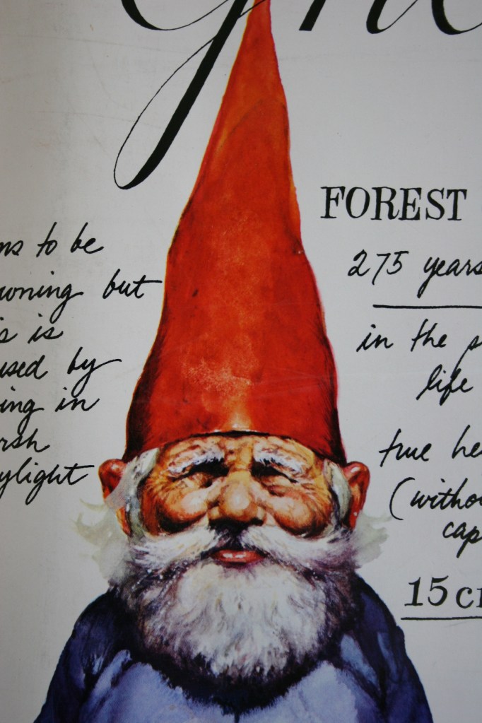 Books, gnome close-up - Copy