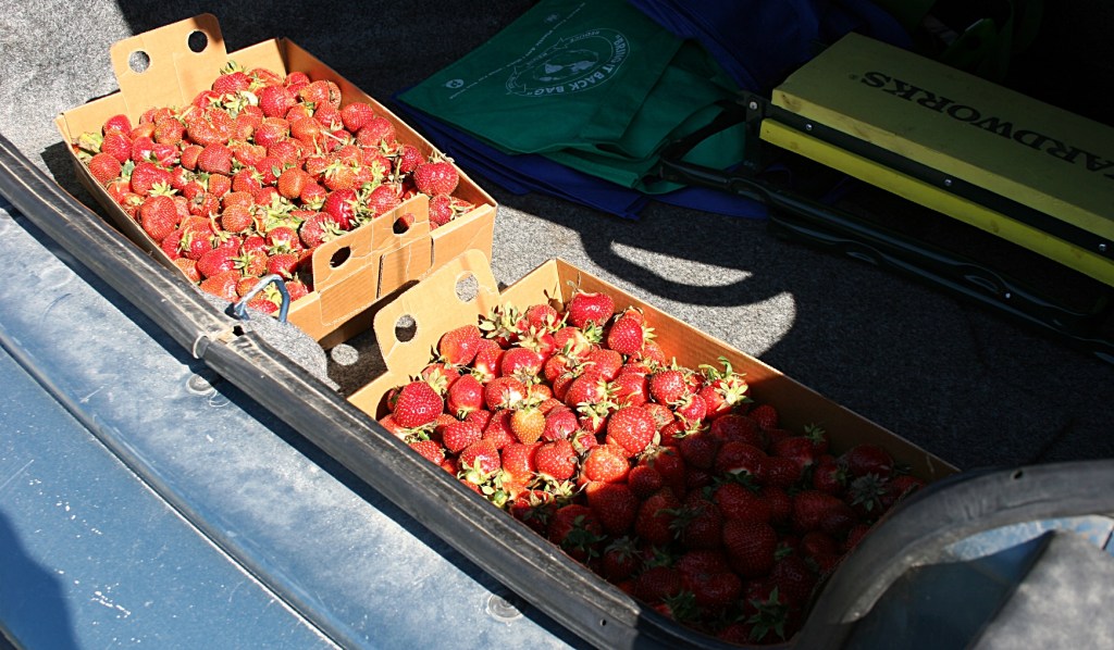 Berries, in trunk