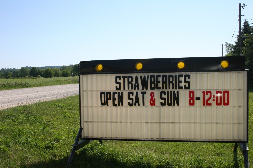 Berries, sign