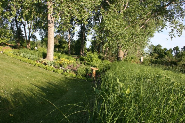 Garden, overview