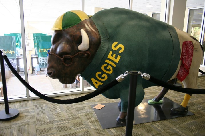 NDSU bison