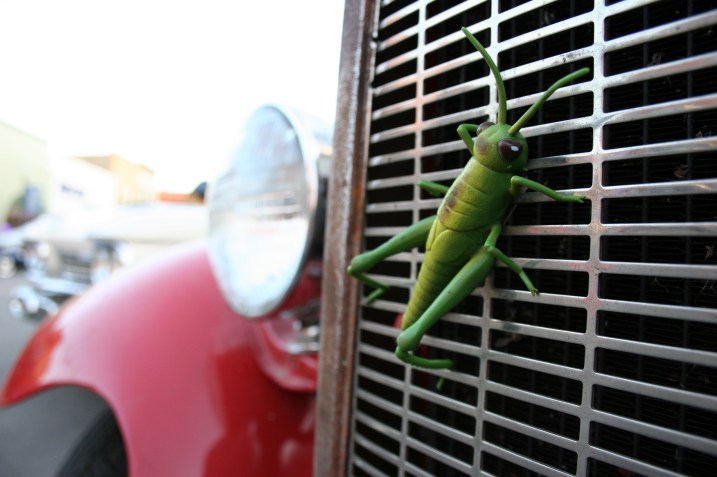 Car, grasshopper