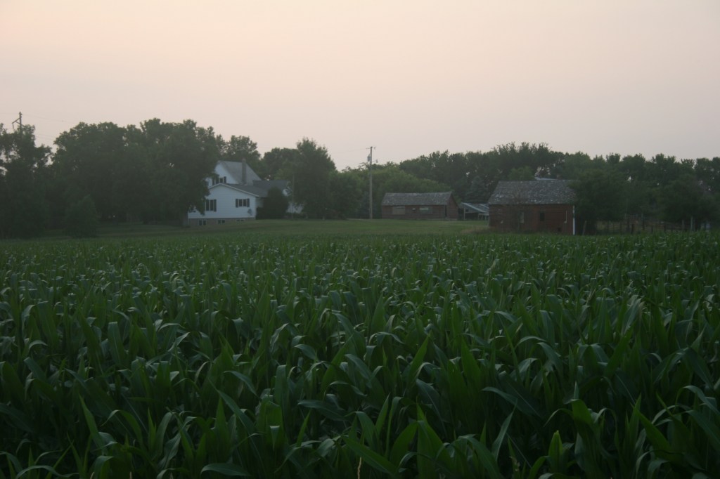 Gravel road, farm site