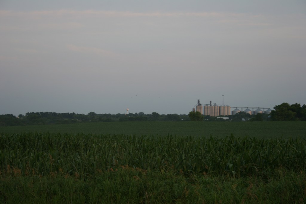 Gravel road, Lamberton
