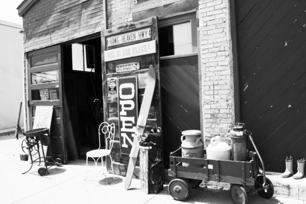 Misc., Lake Pepin Pearl Button Co.