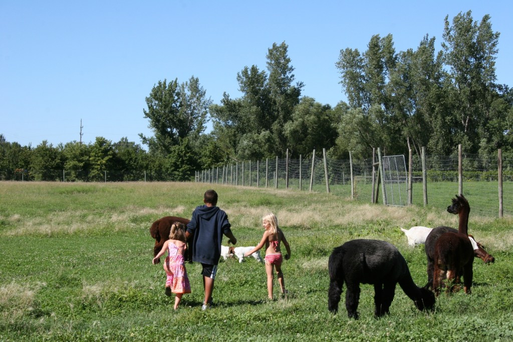 Farm, kids with animals