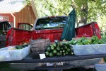 Farm, produce in&nbsp;pick-up
