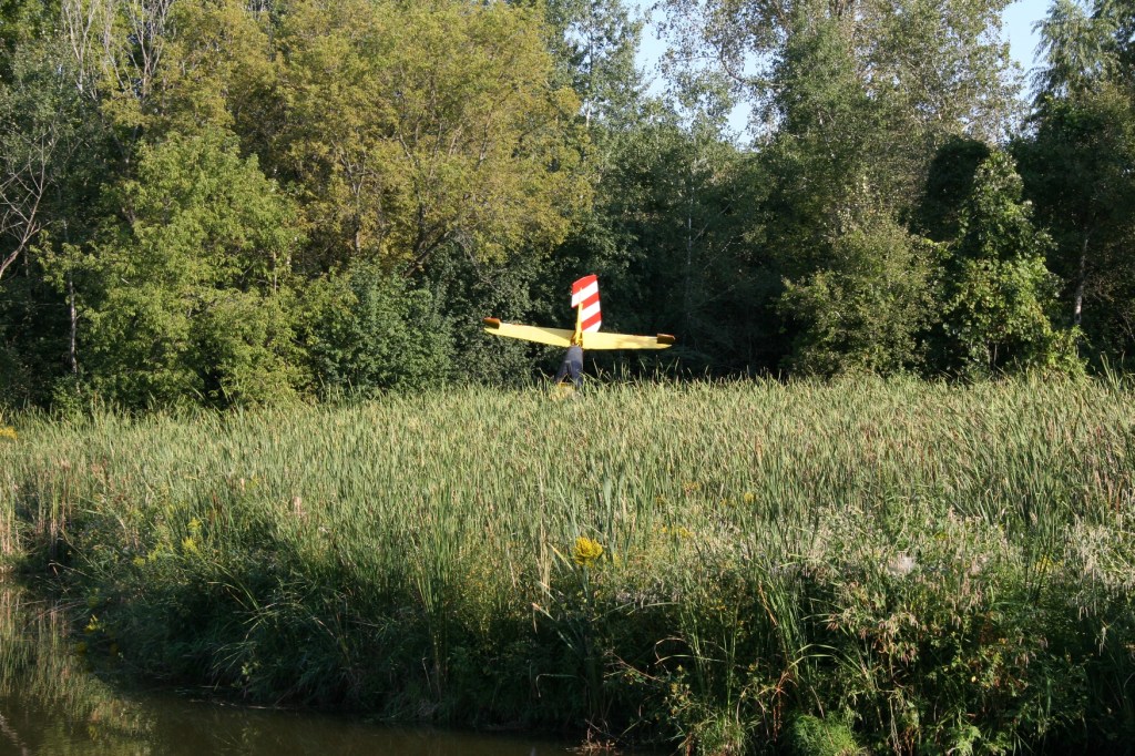 Antique 1, plane in swamp