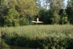 Antique 1, plane in swamp
