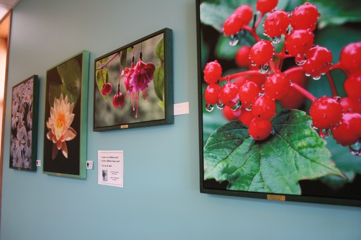 Coffee shop, John Muellerleile photography