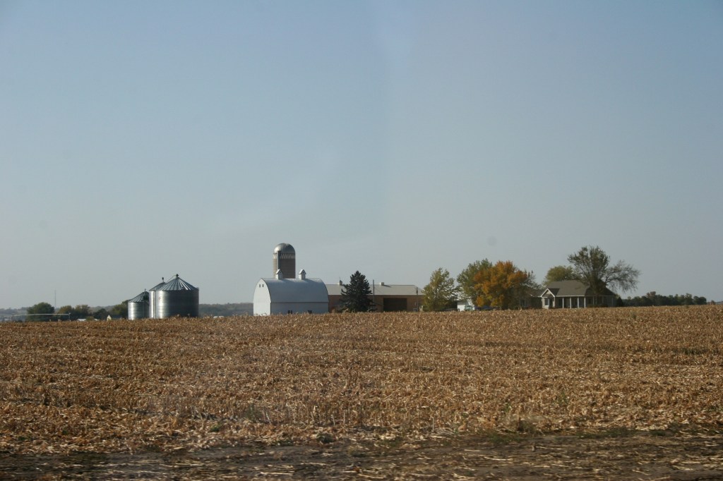 Harvest, farm between Hastings and Cannon Falls