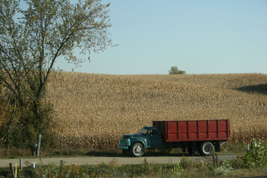 Harvest, grain truck near Cannon City