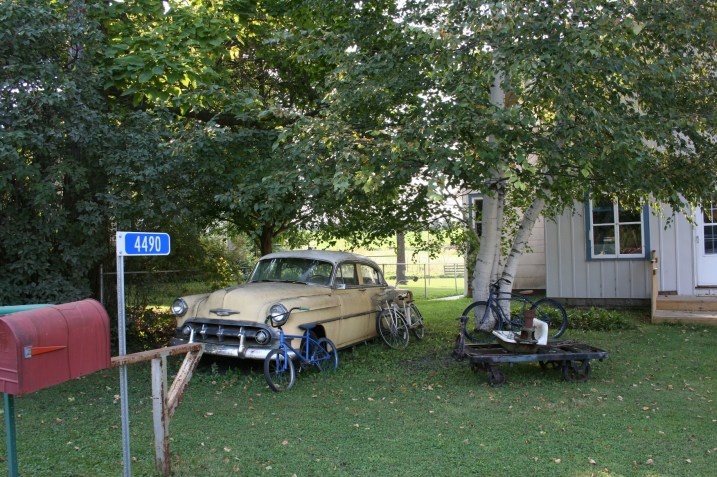 Webster, car and bikes in yard