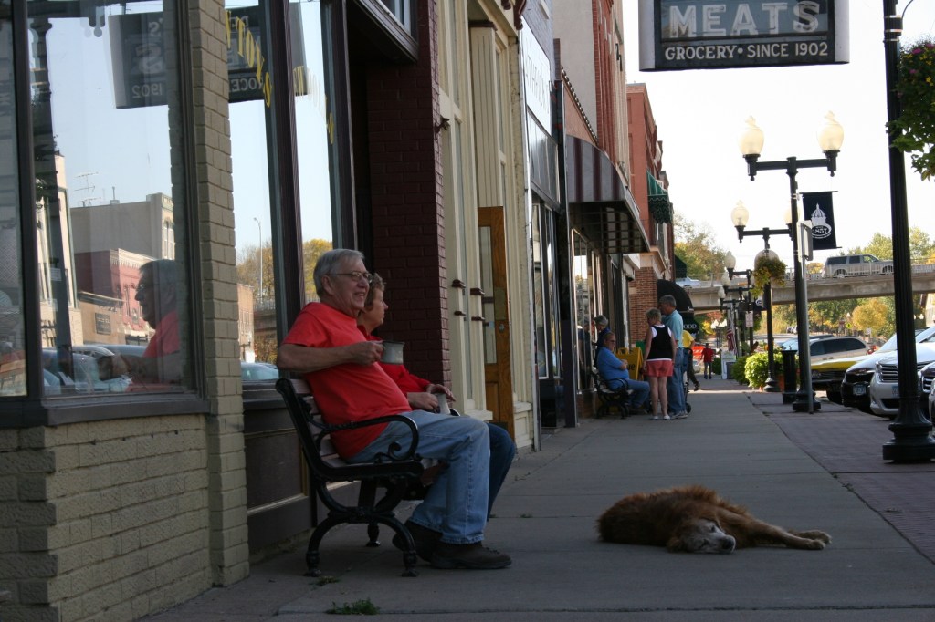 Downtown Hastings, dog on sidewalk