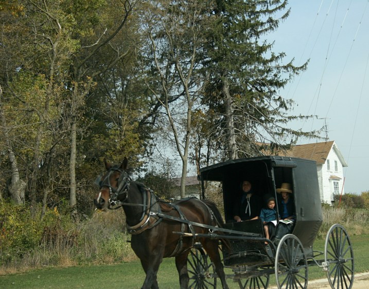 Lenora, buggy close-up