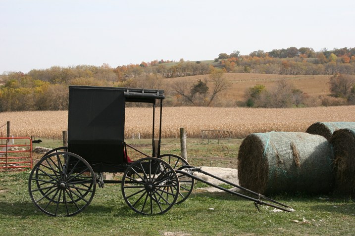 Lenora, parked buggy on Miller farm
