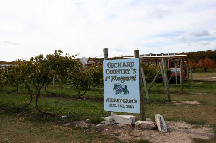 Trip, Audrey Grace vineyard