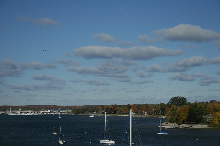 Trip, Sturgeon Bay harbor