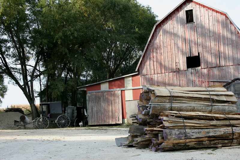 My final shot on the Hershberger farm: the barn, the buggies, the stack of wood.