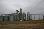 Drive, corn & elevators by Barnesville