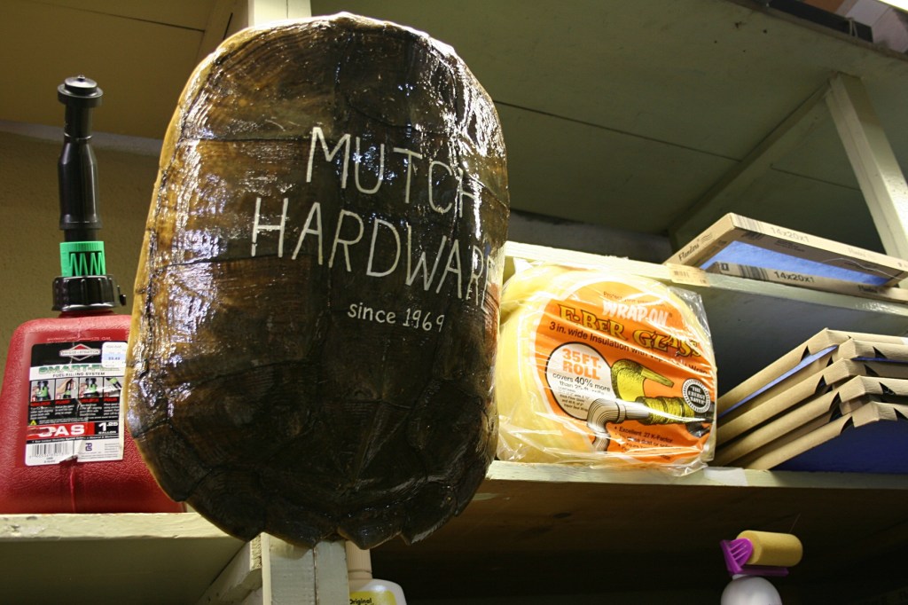 Mutch Hardware, turtle shell