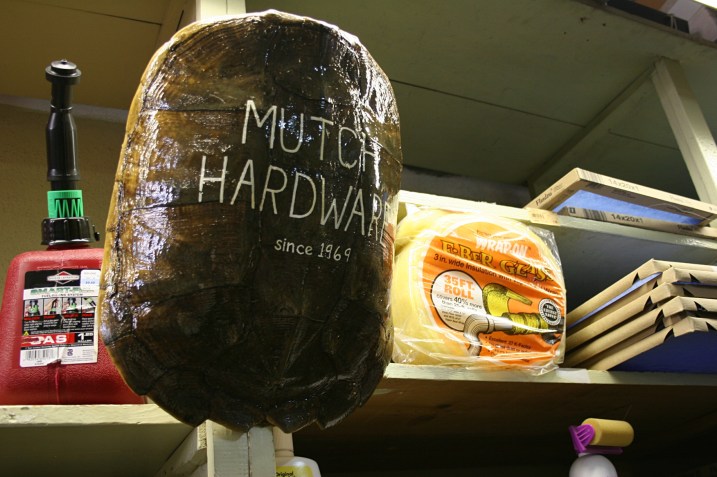 Mutch Hardware, turtle shell