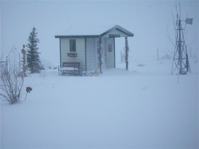 In the blowing snow, the fenceline is barely visible beyond the garden shed in my brother's yard.