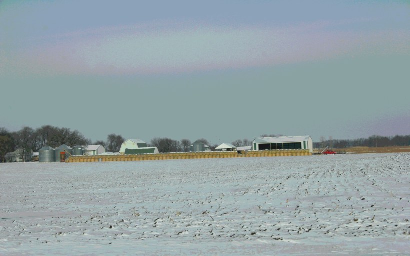 East of Courtland, rows of bales edge a farm site.
