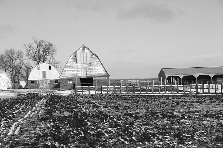 The day prior, en route to Vesta, I photographed this barn between New Ulm and Morgan.
