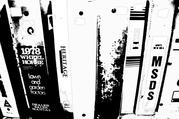 Solution: Simplify by converting to black-and-white and then apply the posterize tool. This emphasizes the element  of strong lines.