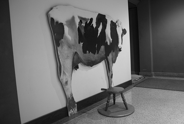 Would any Wisconsin museum exhibit be complete without a cow? Here you can perch on the stool and pretend to milk this Holstein.
