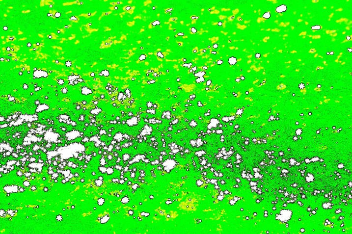Sparkling snow in my backyard transformed into abstract art with photo editing tools.