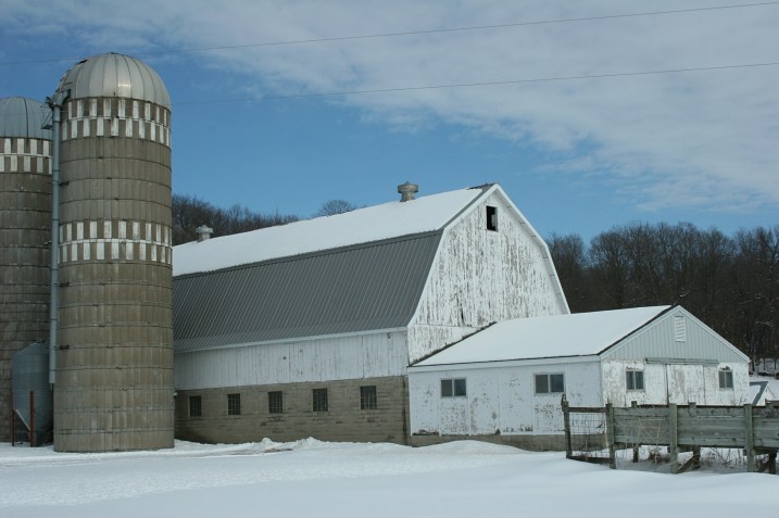Just off Minnesota Highway 99 along a curve on Minnesota 21 heading toward Montgomery.