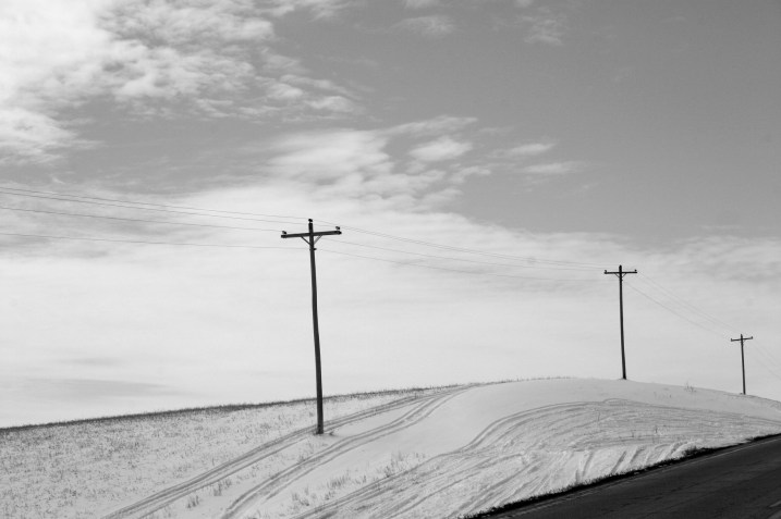 Utility poles break the horizontal landscape along Minnesota 21.