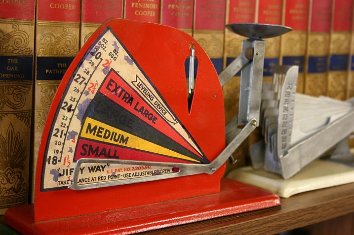 I had no clue what this was, but Randy identified it as an egg scale.